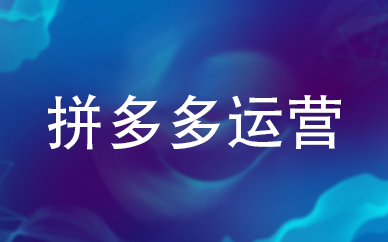 义乌电商培训中心拼多多高级运营班