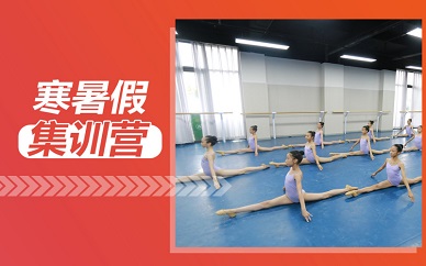 南京帝娃寒暑假舞蹈集训营