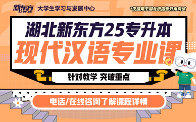武汉新东方25专升本现代汉语专业课