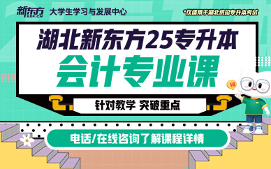 武汉新东方25专升本会计专业课