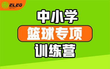 北京训练狮中小学篮球专项训练课程