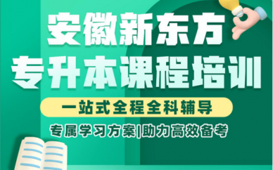 安徽新东方专升本课程