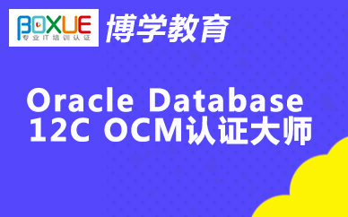 博学Oracle Database 12C OCM认证大师